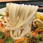 はなまるうどん - 【2017年06月】コクうまサラダうどん（生姜：中）の麺アップ。