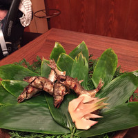 日本料理「雲海」 - 