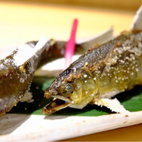 柳家錦 - 
