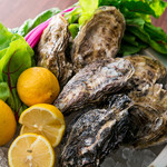 メリプリンチペッサ - 