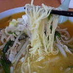 菊川食堂 - タンタンメンの麺