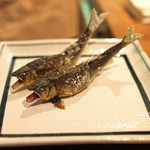 柳家 - 長良川の天然鮎の塩焼き