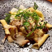 TACUBO - 