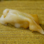 鮨 鈴木 - イシガキガイ