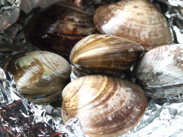 其他的照片 : uminoko[食べログ](繁体中文)