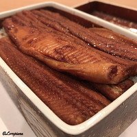 祇園　岩元 - 京穴子重