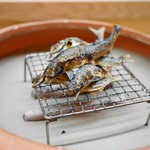 松川 - 美山の天然鮎