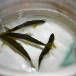 松川 - 美山の天然鮎