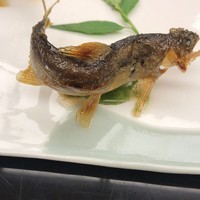 青山浅田 - 