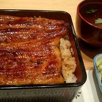 うなぎ藤田 白金台店 - うな重（山）