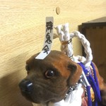 ピッザピッザピッザ - 