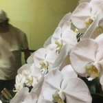 ピッザピッザピッザ - 