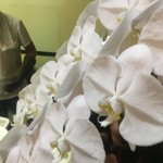 ピッザピッザピッザ - 