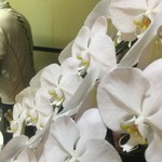 ピッザピッザピッザ - 