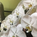 ピッザピッザピッザ - 