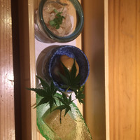 寿司 はせ川 心斎橋本店 - 