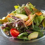 DECIBEL - 18品目のお野菜を使ったヴィネグレットサラダ