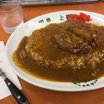 福島 上等カレー - 料理写真:ミンチカレー [大]