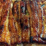 鳥峰うなぎ店 - 並よりもちょっと大きめ