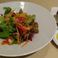 トラットリア キッコ - 