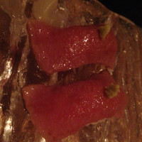 六本木焼肉　Kintan - 