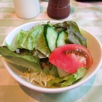 氷見牛ステーキ＆ワイン レストラン トロイカ - セットのサラダ。