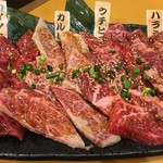 焼肉みやび山 - みやび盛り中（4950円）