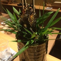 祇園 又吉 - 