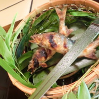 京都 吉兆 嵐山本店 - 鮎塩焼き
