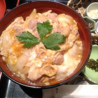 博多華味鳥 銀座4丁目店 - 