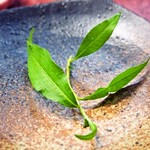 すし豊 - 鮎には大将が自分で育てている蓼が付いてくる