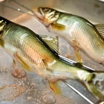 すし豊 - 鮎 塩焼き