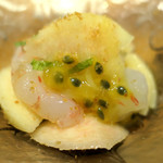 ドディチ・マッジョ - 