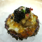 ドディチ・マッジョ - 