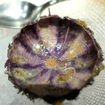 ドディチ・マッジョ - 