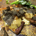 ドディチ・マッジョ - 