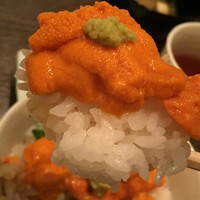 函館うに むらかみ 日本生命札幌ビル店 - バフンウニ丼