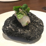 ル スプートニク - 