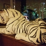 ハングリータイガー - 待合スペースの、虎（笑）。