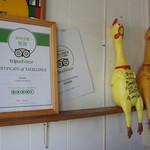 キャプテンカンガルー - 店内