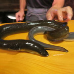 うなぎ屋酒坊・画荘 越後屋 - 29年8月　熊野天然鰻と養殖鰻