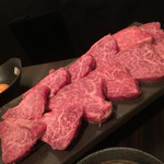 SATOブリアン - ヒレ