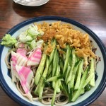 長寿庵 - これは皿ではなく丼です。結構な量。