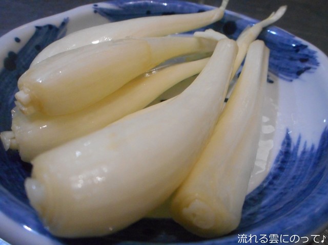 Furusato Otsumami Sakaba Minna no Ie Ryo photo 3