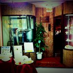 サンシャイン - 