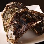 福ふくろう。 - 