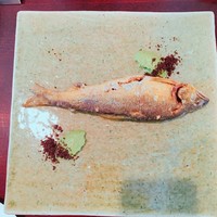 セルサルサーレ - 