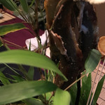 花仙庵 仙仁温泉 岩の湯 - 