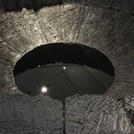 T'sレストラン - 桶の中。上からカメラで撮らないと水が溜まってるのはわからない。撮影許可の展示。