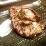 釀造科 oryzae - どんこ椎茸醤油焼き３００円